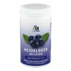 Avitale Blueberry Capsules + Lutein + Vit.C + E, Pack
