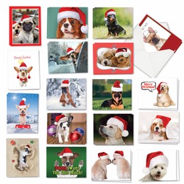 The Best Card Company - 36 Assorted Animal Christmas Notes Bulk Box Set 4 x 5.12 Inch with Envelopes, Pet Puppy Variety Pack (18 Designs, 2 Each) - Holiday Dogs AM7847XSG - B2x18