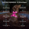 Domagiker Led Dog Harness Adjustable(Pink, S)