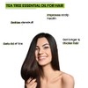 Rey Naturals Tea Tree Essential Oil for Skin, Hair and