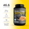 EVOLUTION, Protena de Suero de Leche, WP100, Whey Protein, 18