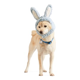 Youly Easter Blue Bunny Hat for Dogs, Small/Medium