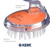 Kent SH1 ORG Scalp Scrubber Hair Brush and Exfoliator for