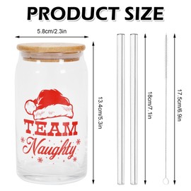 2 Pack Christmas Iced Coffee Cup Team Naughty or Nice Beer Can Glass Red Green Xmas Glass Cup with Lid Straw for Home Office Gifts,16oz
