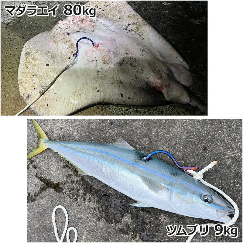 Titanium Large Fish Flying Gaffs for Shore Offshore Tuna, Marlin,