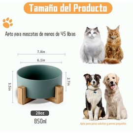 SELOVE Cuenco para Perros y Gatos de Gran Capacidad,Platos para Perro Y Gatos,Tazón para Perros y Gatos de Cerámica,Plato De Cerámica Comedero para Perros Y Gatos con Base De Bambú,850 ml/28oz(Verde)