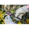 AMES Multi-Function Bypass Pruner