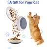 4 Pack Cat Food Bowl Whisker Friendly,Anti Whisker Fatigue Cat