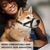 ILEPARK Dog Head Collar with Padded Fabric, Head Harness for