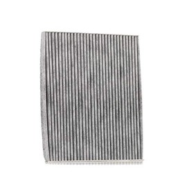 STARK SKIF-0170040 Filter, Innenraumluft Staubfilter, Pollenfilter, Mikrofilter