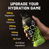 Jocko Fuel Hydrate Electrolyte Drinks - Sports Drink Hydration Amplifier,