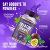 Creatine Gummies 5000mg - Creatine Monohydrate with BCAA & L-Taurine