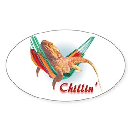 CafePress Bearded Dragon Chillin Oval Sticker Oval Car Bumper Sticker