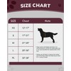MIDOG No-Pull Dog Harness | Adjustable & Reflective Pet Harness