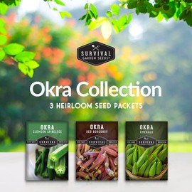 Okra Seed Collection for Planting - 3 Packets - Grow Clemson Spineless, Emerald, and Red Burgundy Okra Plants in Your Home Vegetable Garden - Non-GMO Heirloom Varieties - Survival Garden Seeds