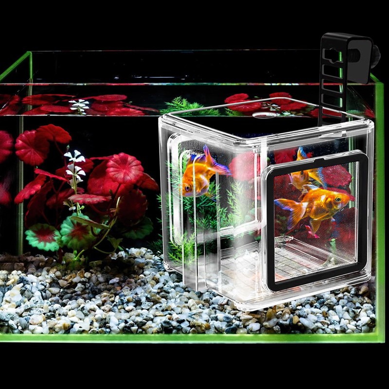 MEYAGOT Fish breeding box, aquarium fish breeding box, fish brood