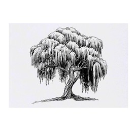 'Willow Tree' Temporary Tattoo - Water Resistant, Skin-Safe, Non-Toxic Transfer (TO00083813)