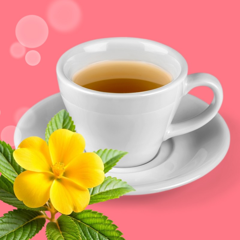 Tadin Damiana Herbal Tea, 24 Bags 0.68 fl oz, Smooth