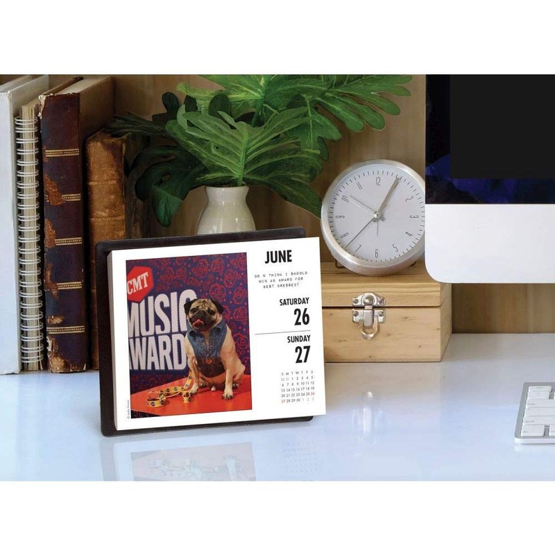 Doug the Pug 2020 Calendar