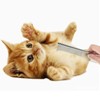 Pet Grooming Brush Metal Flea Comb for Removing Tangles Knots