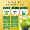 【医師監修】腸活桑茶 乳酸菌配合 桑の葉 粉末 無農薬 国産 パウダー 青汁 食物繊維 葉酸200μg