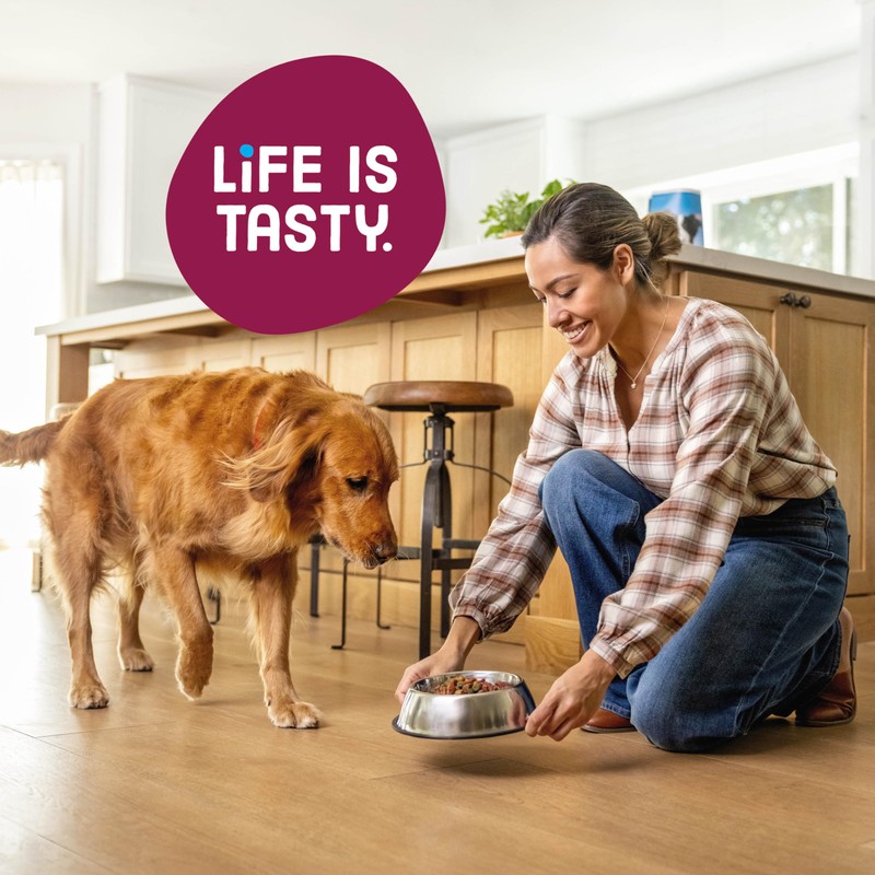 Kibbles 'n Bits Dry Dog Food, Savory Bacon & Steak