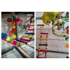 DS. DISTINCTIVE STYLE Bird Ladder Toys Coloured Flexible Parrot Swing