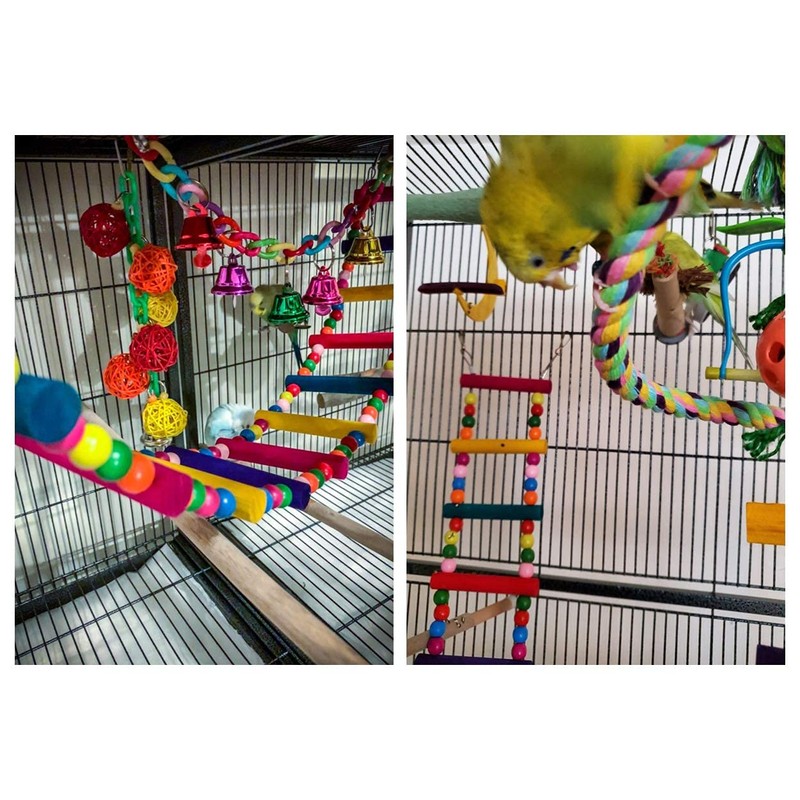 DS. DISTINCTIVE STYLE Bird Ladder Toys Coloured Flexible Parrot Swing