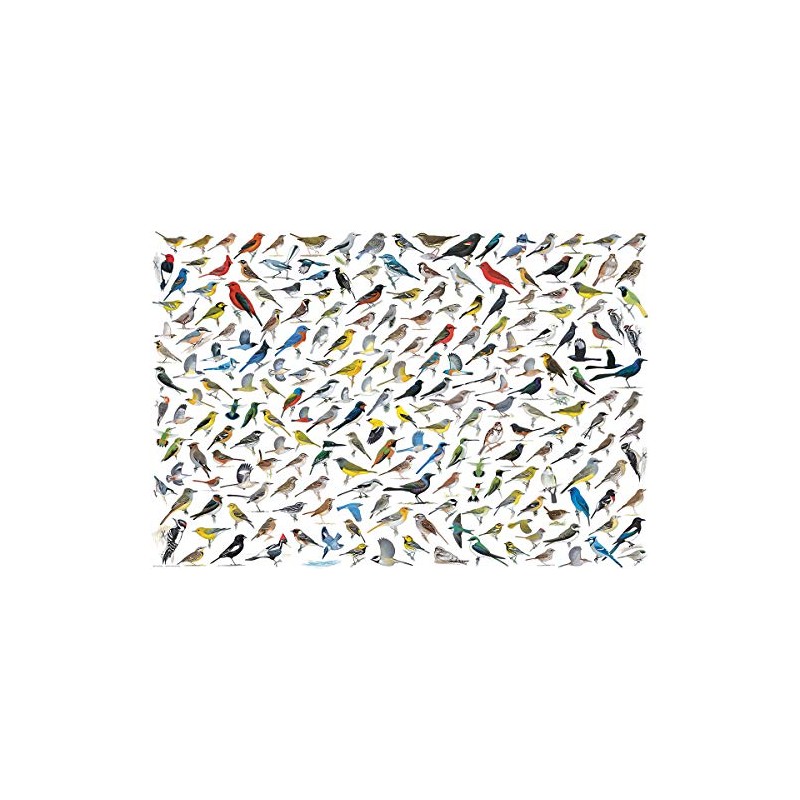 EuroGraphics The World of Birds (2000 Piece) Puzzle (8220-0821)