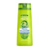 Garnier Fructis 2-in-1 Force & Brillance Shampoo, 300 ml