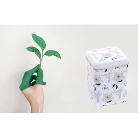 Cha Cult Senta Tin 100 g Square with Pull-On Lid Embossed 9.8 x 6.5 x 6.5 cm