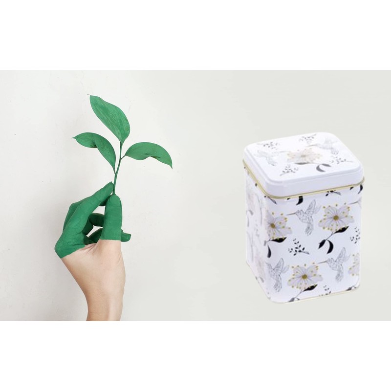 Cha Cult Senta Tin 100 g Square with Pull-On Lid