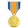 Inherent Resolve Campaign Medal Anodized Full Size