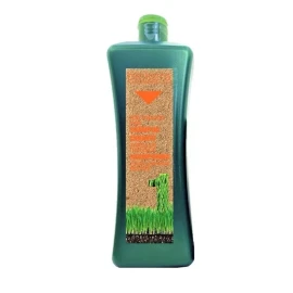 Salerm Cosmetics Biokera Salerm Cabellos Tratados Kit Shampoo + Mascarilla