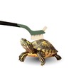 Turtle Cleaning Brush - Gently Remove Dirt from Turtles and