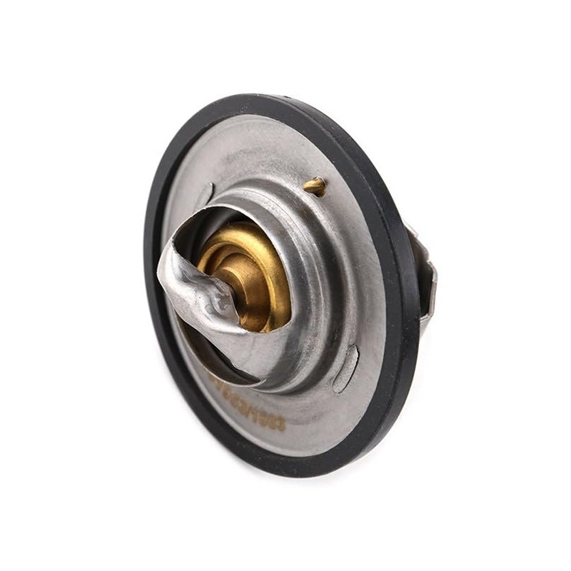 RIDEX Thermostat + Gasket