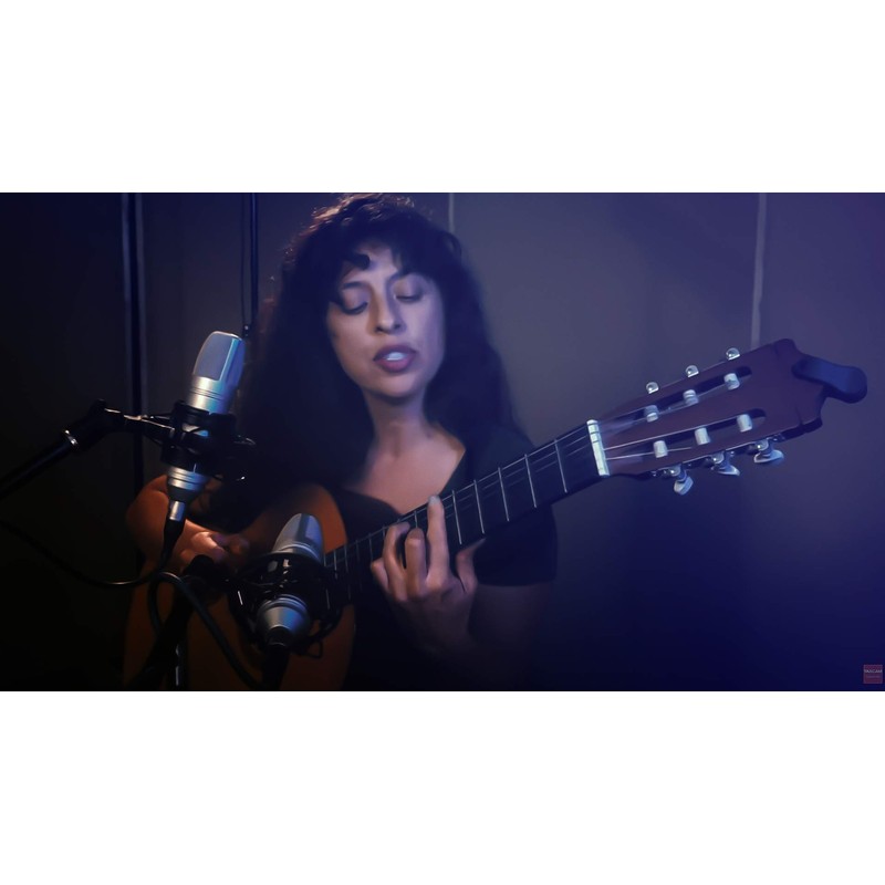 Tascam TM-80 Condenser Microphone