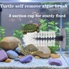 Turtle Brush with Strong Suction Cup,Turtle Back Clean Brush to