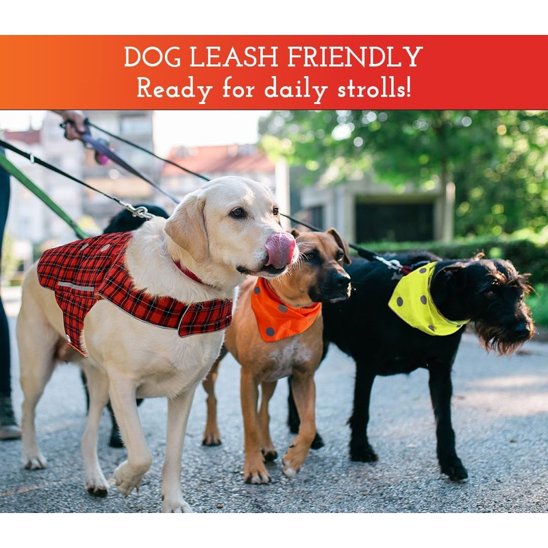 SPOT THE DOG! Reflective Dog Bandanas - High Visibility Safety
