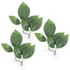 3 Pack Betta Fish Leaf Hammock, Multi Leaf Design, Aquarium