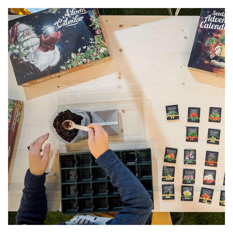 Advent Calendar with Seeds and Greenhouse, Santa Claus, 24 Different