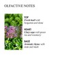 Molton Brown Refined White Mulberry Fine Liiquid - Lavado a