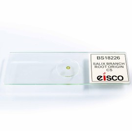 Eisco – Microscope Slide of Salix Branch with Rot Origin Cross Section – Prepared and Labeled – 75 x 25mm Glass Slide – Sealed Inert Sample for Microscopic Observation