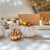 Kate Aspen White Pumpkin Place Card Holders - Set of