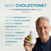 Cholestone Plant Sterol Complex to Support Normal Cholesterol Levels |