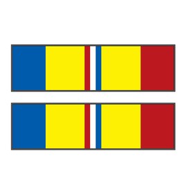 Combat Action Ribbon Decal (Medium)