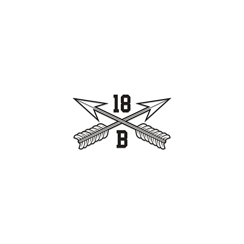 10-Pack Inkfidel 18B Special Forces Weapons Sergeant Crossed Arrows Vinyl
