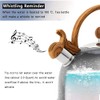 Webao Tea Kettle Whistling Kettle Induction 2.5 L Stainless Steel