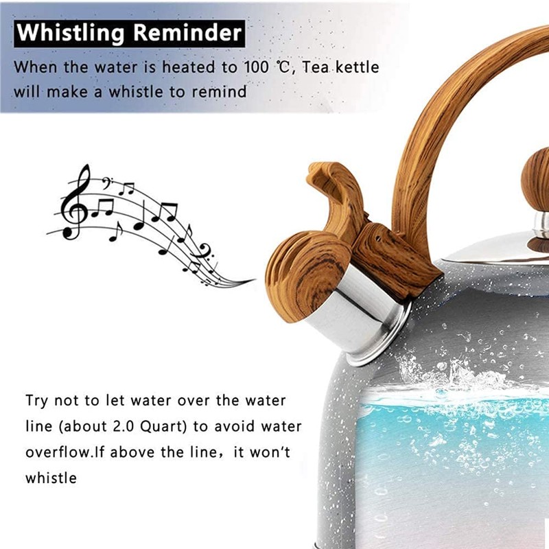 Webao Tea Kettle Whistling Kettle Induction 2.5 L Stainless Steel