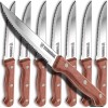 STEINBRÜCKE Steak Knife Set with Wooden Handle for Kitchen, Serrated